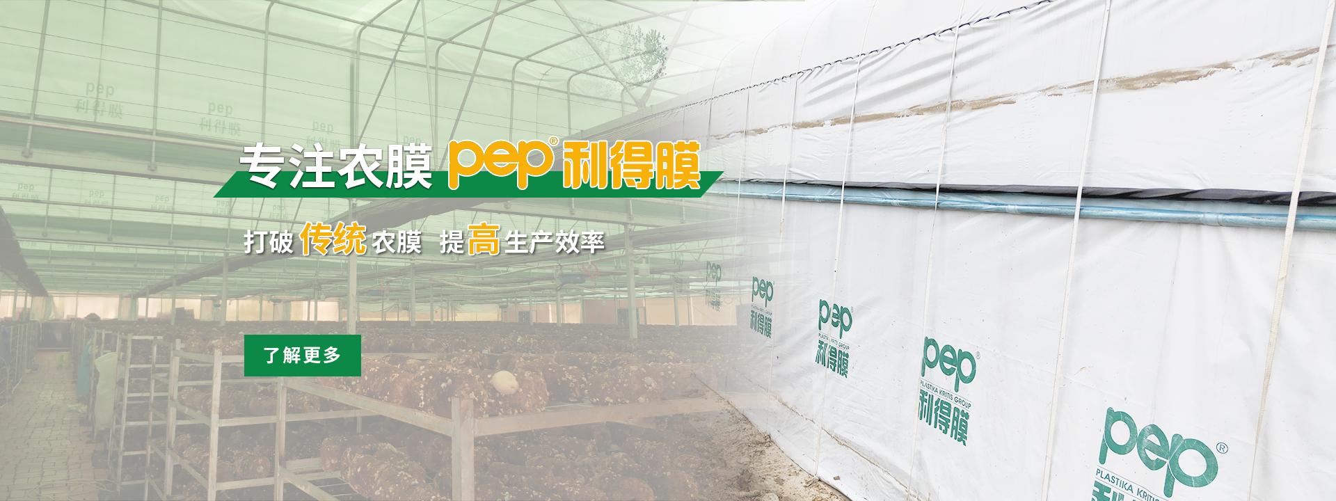 綠白膜、pep利得膜